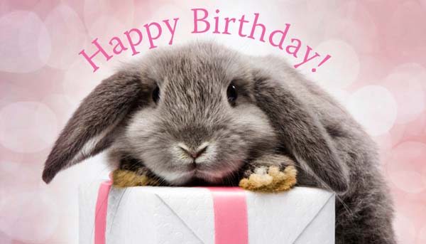 Bunny_Birthday.jpg.436ef7f6c06fe45f839017d7e8153f00.jpg