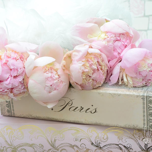 paris-pink-peonies-romantic-shabby-chic-french-market-peonies-paris-romantic-peonies-and-book-art-kathy-fornal-3688.jpg.7adab5517e8e7cb83b9740811a6a8c66.jpg