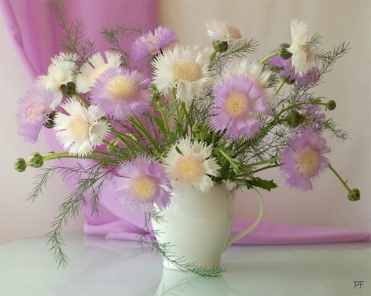 flowers-and-vases-30.jpg.36a3f3d9f8b37b3fac195ea55b70ab95.jpg