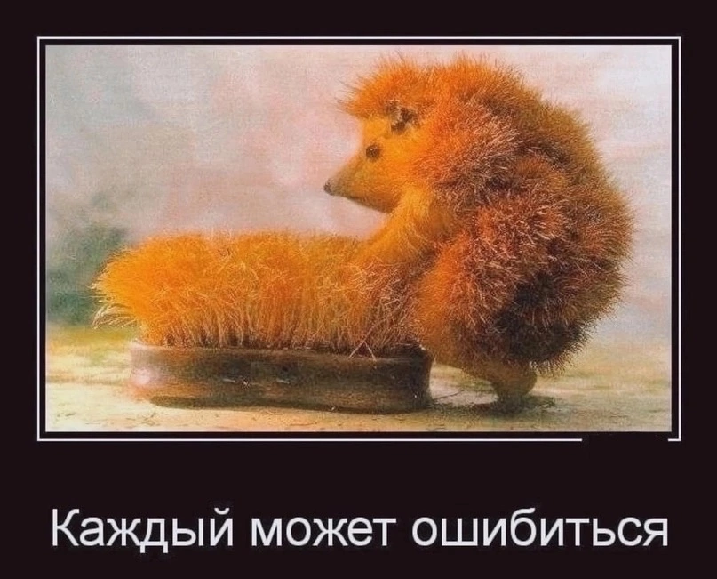 68192e994537d_.png.602dcffdaaebac9f9f2a4db85fcc5aa9.png