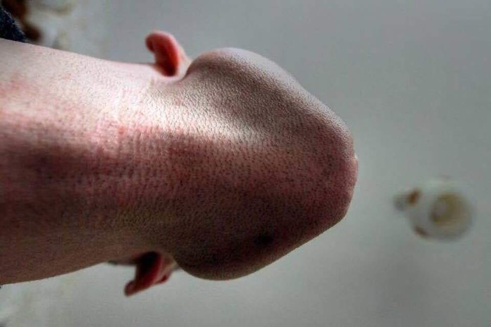 687d2ec9e76ce_.jpg.29f5d8e8f369bd15d6507f4f26f7bc44.jpg